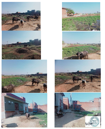 Sale Notice of Ms Shiv Rice Mill 070620241